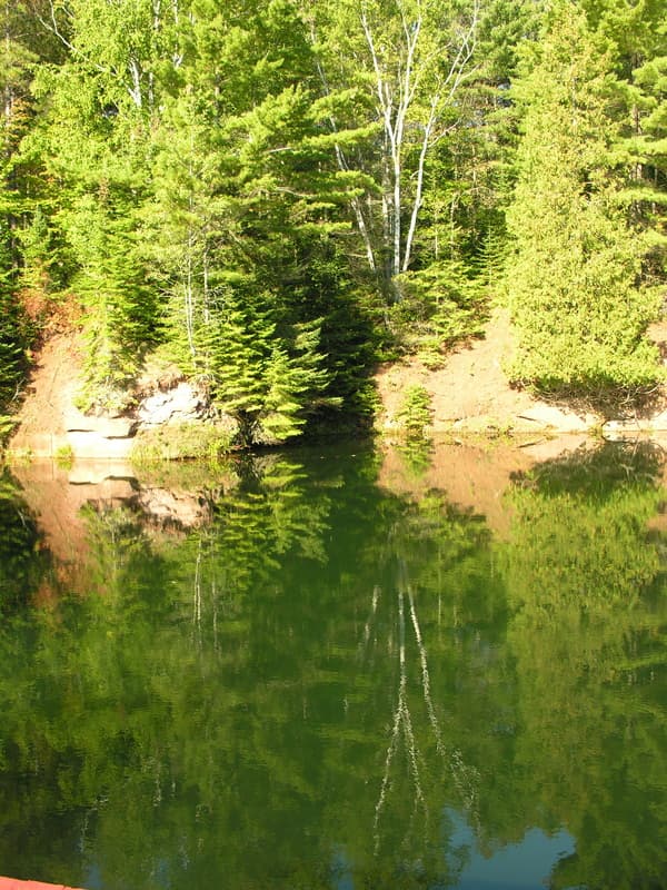Pines reflected in the still water of the Brownstone Quarry